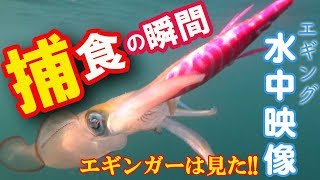 太刀魚ワインド＠大阪湾 晩秋以降にはスローワインドだ！！