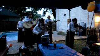 Mariachi Damas de Jalisco - El Cascabel