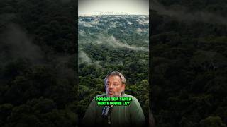 POR QUE O POVO DA AMAZÔNIA AINDA É POBRE? 🌳