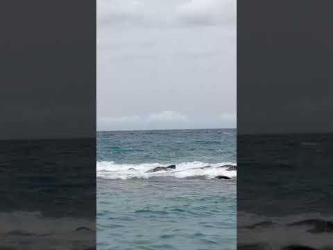 El último recuerdo: La playa los cocos antes de la tragedia