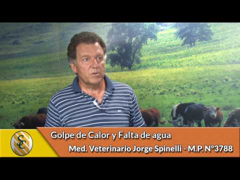 Micro 001 - Dr Jorge Spinelli - Golpe de Calor y Falta de Agua