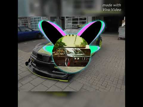 cătău campion bass