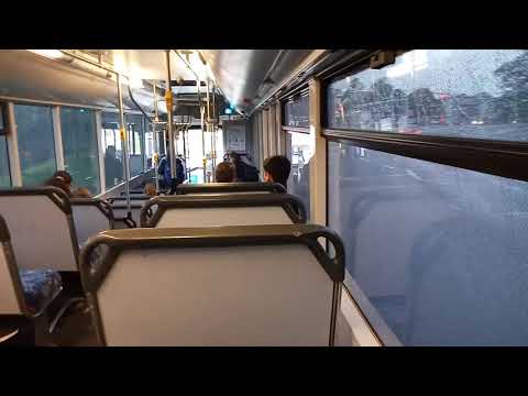 Loud ZF - Transdev - 9156 - Scania K94UB/CC CB60[Mt Kuring-Gai](698 - Asquith Loop)