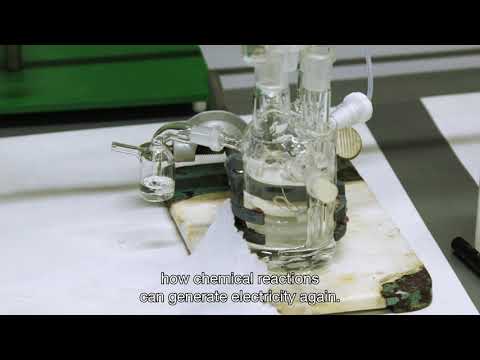 Spinoza laureate 2021 - Marc Koper