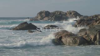 Salt Tree video preview