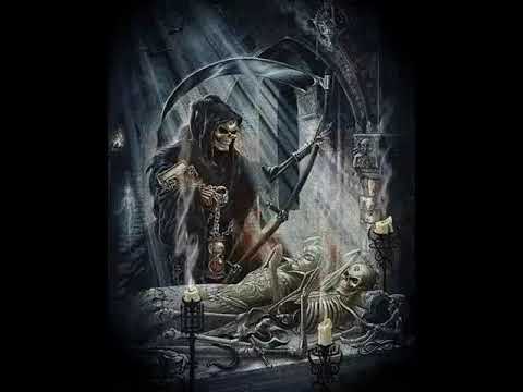 OZI KSD - ŻYCIÓWKA