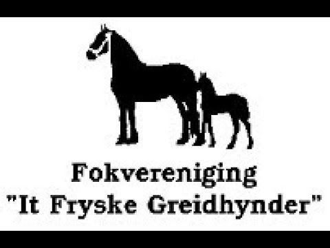 Fokdag It Fryske Greidhynder Drachten 2017