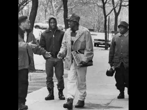 Panikoenlasala - Desde el sur