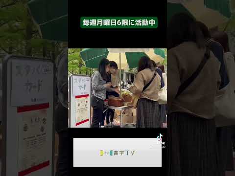史学科 【部活・サークル紹介】国際政治経済学部公認学生団体SANDS