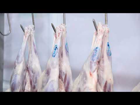 Qurban bayramı ilə bağlı hazırlıq işləri yekunlaşıb