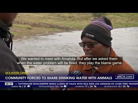 SA's Water Crisis Community forced to share drinking water with animals