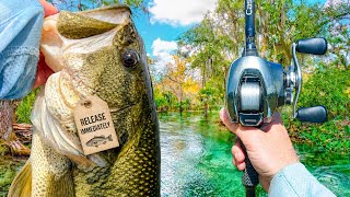Fishing A HIDDEN River FULL Of RARE Bass - Can I Catch One?