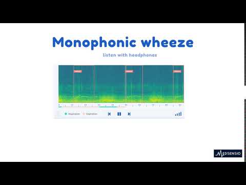 Lung sounds - monophonic wheeze