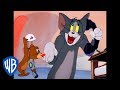 Tom Jerry Em Português Brasil Ano Novo Mesma Dupla WB Kids