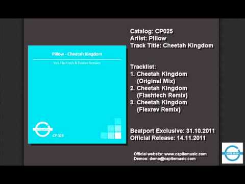 Pillow - Cheetah Kingdom (Flexrev Remix)