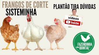 Miniatura do vídeo