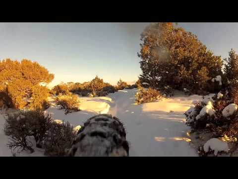 Weekly Dose of Fat – One Eleven Thirteen (with bonus video) Weekly Dose red star on blk