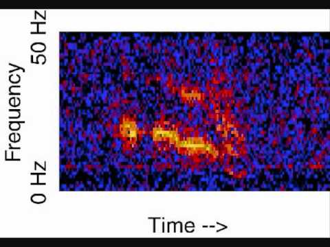 Unidentified Deep Sea Sounds - Julia (16X)