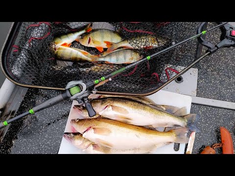 ISO? KUHA JA NÄTIT RUOKAKALAT AAMUPISTOLTA ENNEN SADETTA!