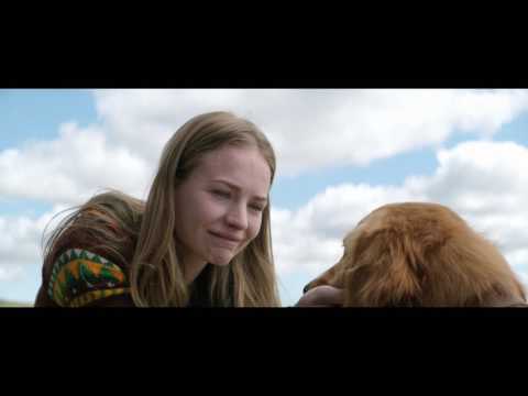 A Dog’s Purpose | Trailer | Own it now on Blu-ray, DVD & Digital