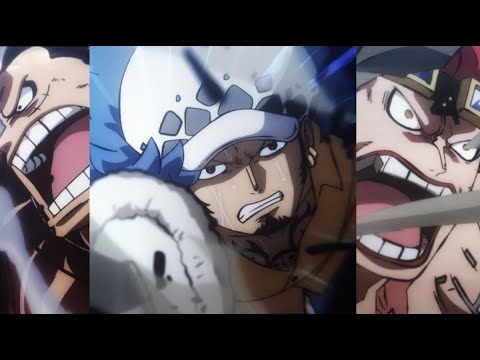 One Piece Wiki Anime Amino