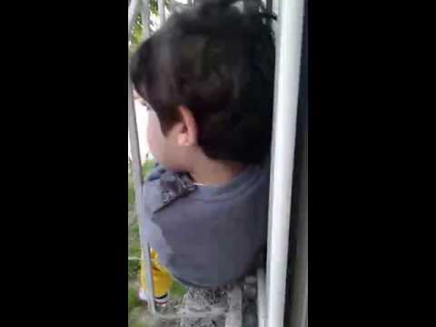 Emir'in çaresizliği