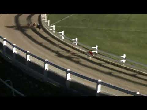 2022.06.03. 07. futam - Júniusi Trófea