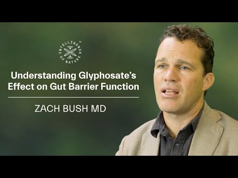 Understanding Glyphosate’s Effect on Gut Barrier Function | Zach Bush MD