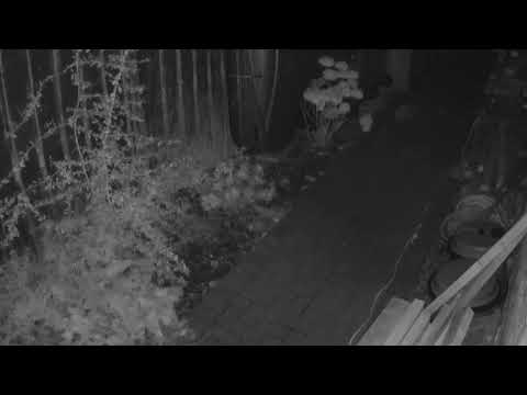 scary cctv footage of real u.f.o.