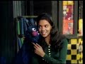 0290 A New Library On Sesame Street
