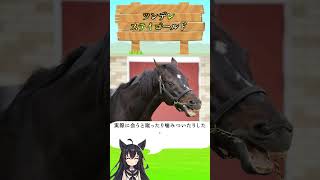 ツンデレステイゴールド#競馬#ドバイ #中央 #JRA