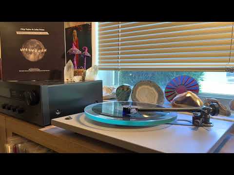 Chip Taylor & John Prine~Sixteen Angels Dancing 'Cross The Moon