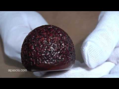 pipa Ascorti 386 - pfeifen