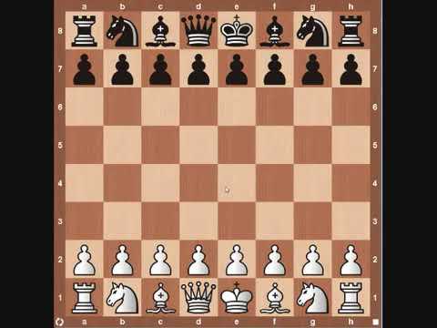 Famous Chess Game- Fischer vs Panno