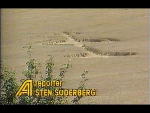 Crop circles on Swedish news (SVT Aktuellt 1991-09-10)