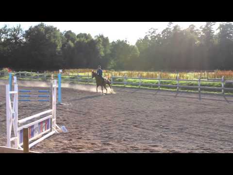 Alexzarah 80cm Perstorp 16/7 2014