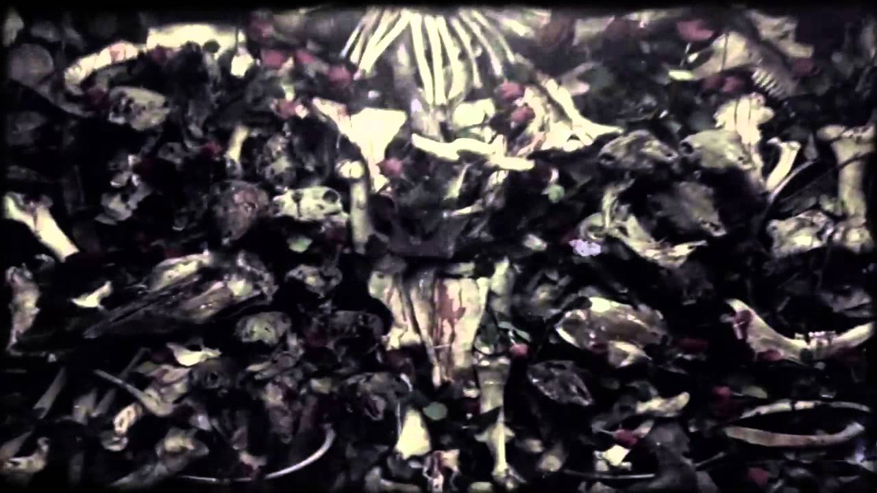 WATAIN - All That May Bleed (LYRIC VIDEO) - YouTube