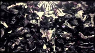 WATAIN - All That May Bleed (LYRIC VIDEO)