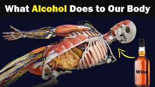 Why we should not drink Alcohol?