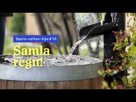 Spara regn! Vattna växterna med regnvatten (så sparar du vårt viktiga dricksvatten)