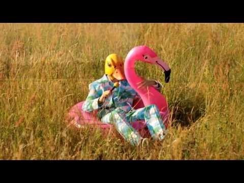 Ingo ohne Flamingo - Hartz 4 und der Tag gehört dir [Official Video]