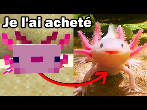 J'ai acheté un AXOLOTL de Minecraft dans la VRAIE VIE ! (Cet animal est complètement fou)
