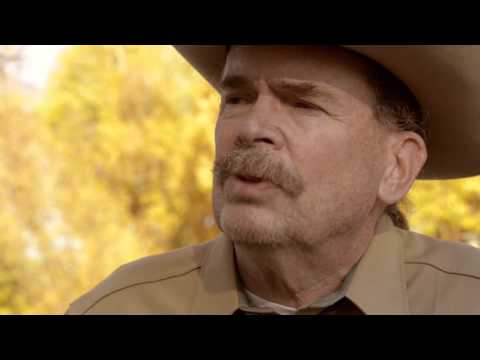 3 Gobblers the Film