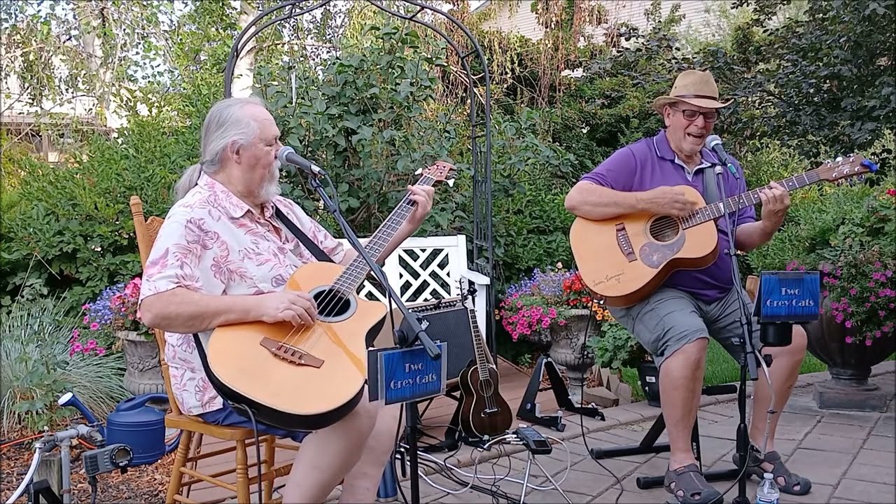 Promotional video thumbnail 1 for Two Grey Cats