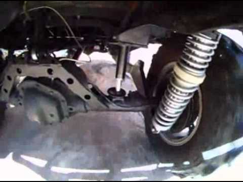 Daystar Stinger Bump Stops