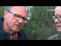 GLD Nieuws 31 maart 2017