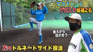 動画を再生