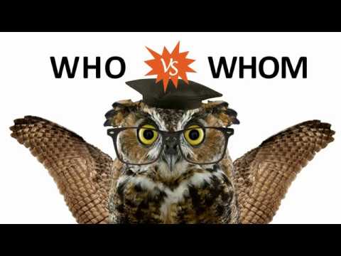 Who vs Whom - The Final Showdown!