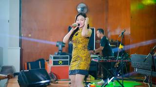 Download lagu LALUNA MUSIC - BUKAN AKU TAK CINTA DINDA TERATU - HAPPY PARTY LASKAR KI AGENG PURO SEASON 2 mp3