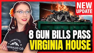 8 Gun Control Bill Pass Virginia House